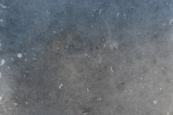 Kasino Coins Game Podpora